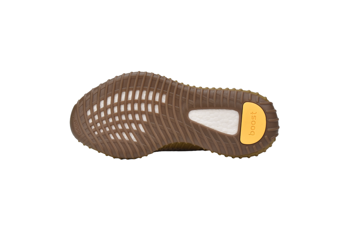 Yeezy 350 V2 Earth