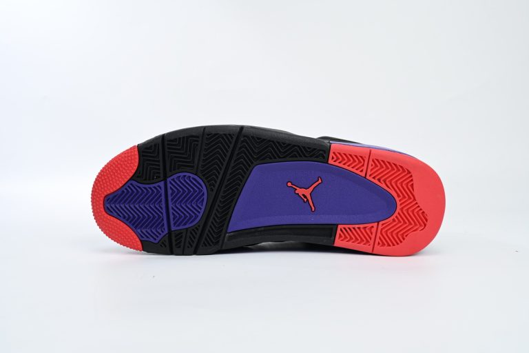 Jordan 4 Raptors