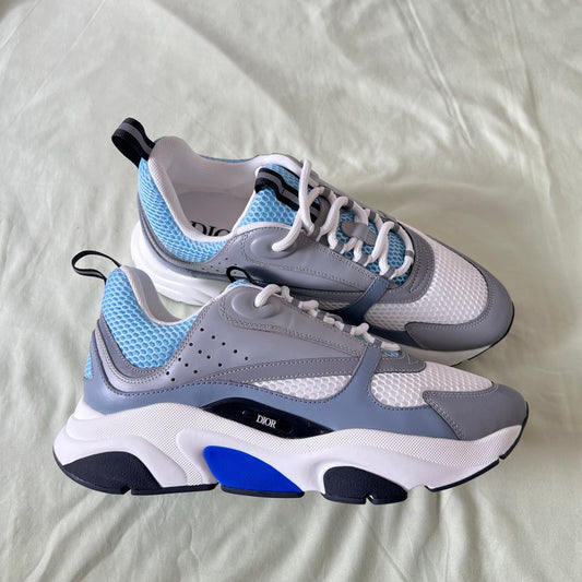 Dior B22 Gray