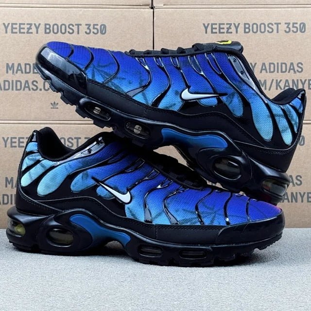 Nike TN – Blue Purple